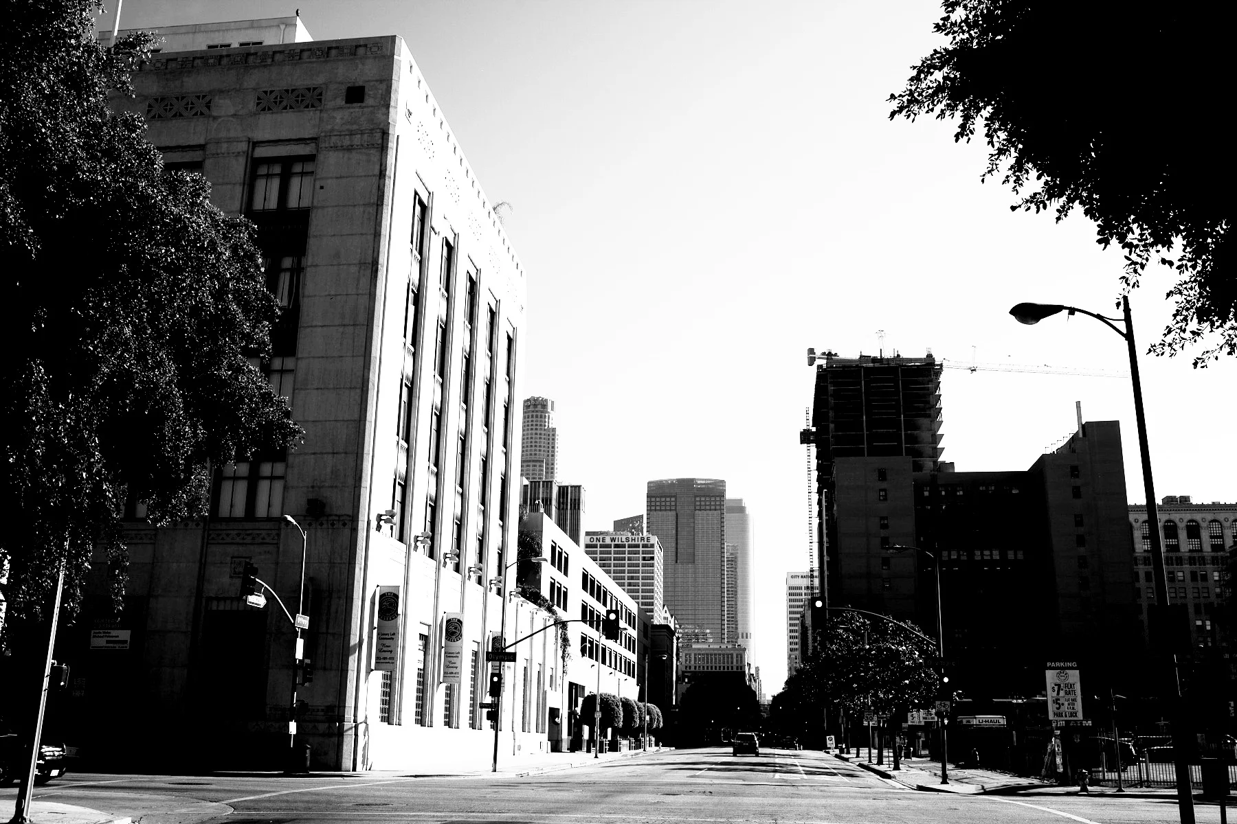 _IMG_8034.jpg