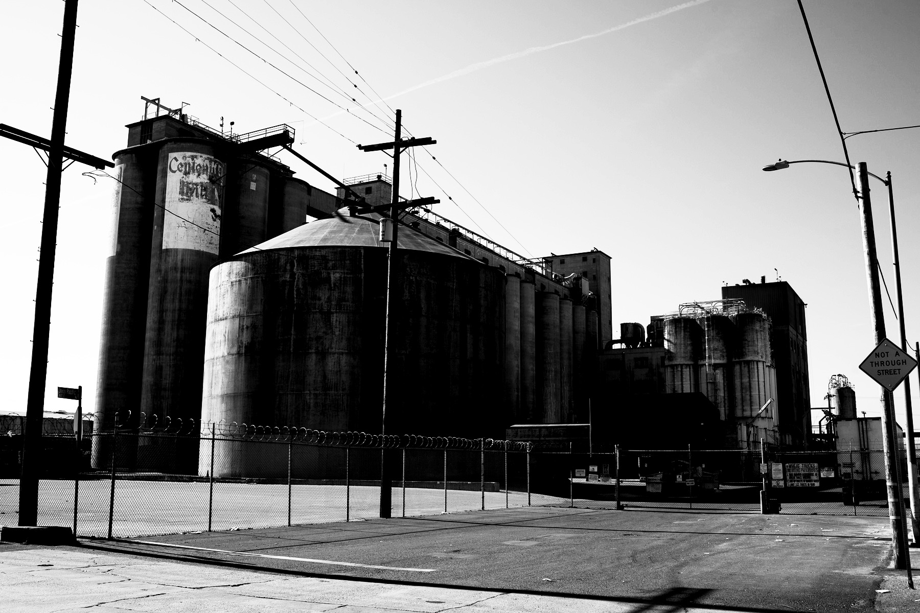 _IMG_8040.jpg
