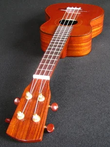 Sean's Tenor