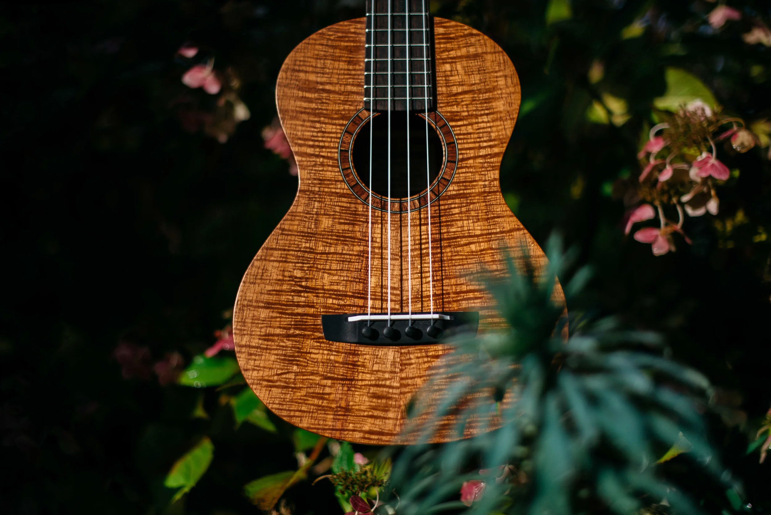 Oceana koa tenor ukulele