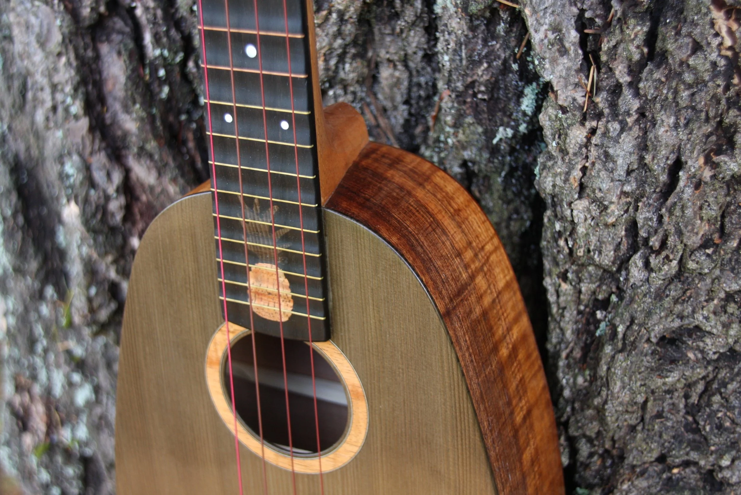 Gallery — Oceana Ukuleles