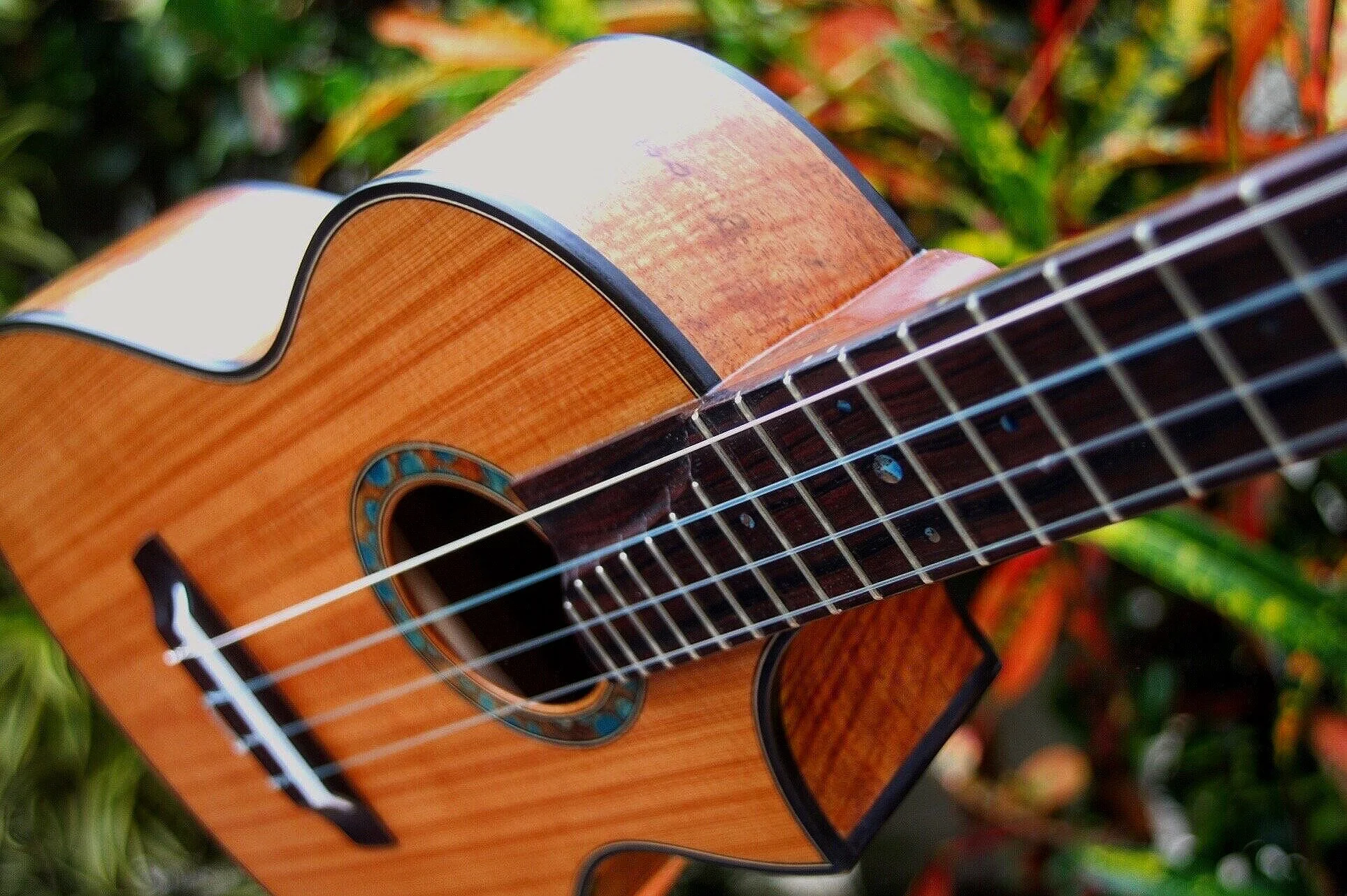 Oceana Ukuleles