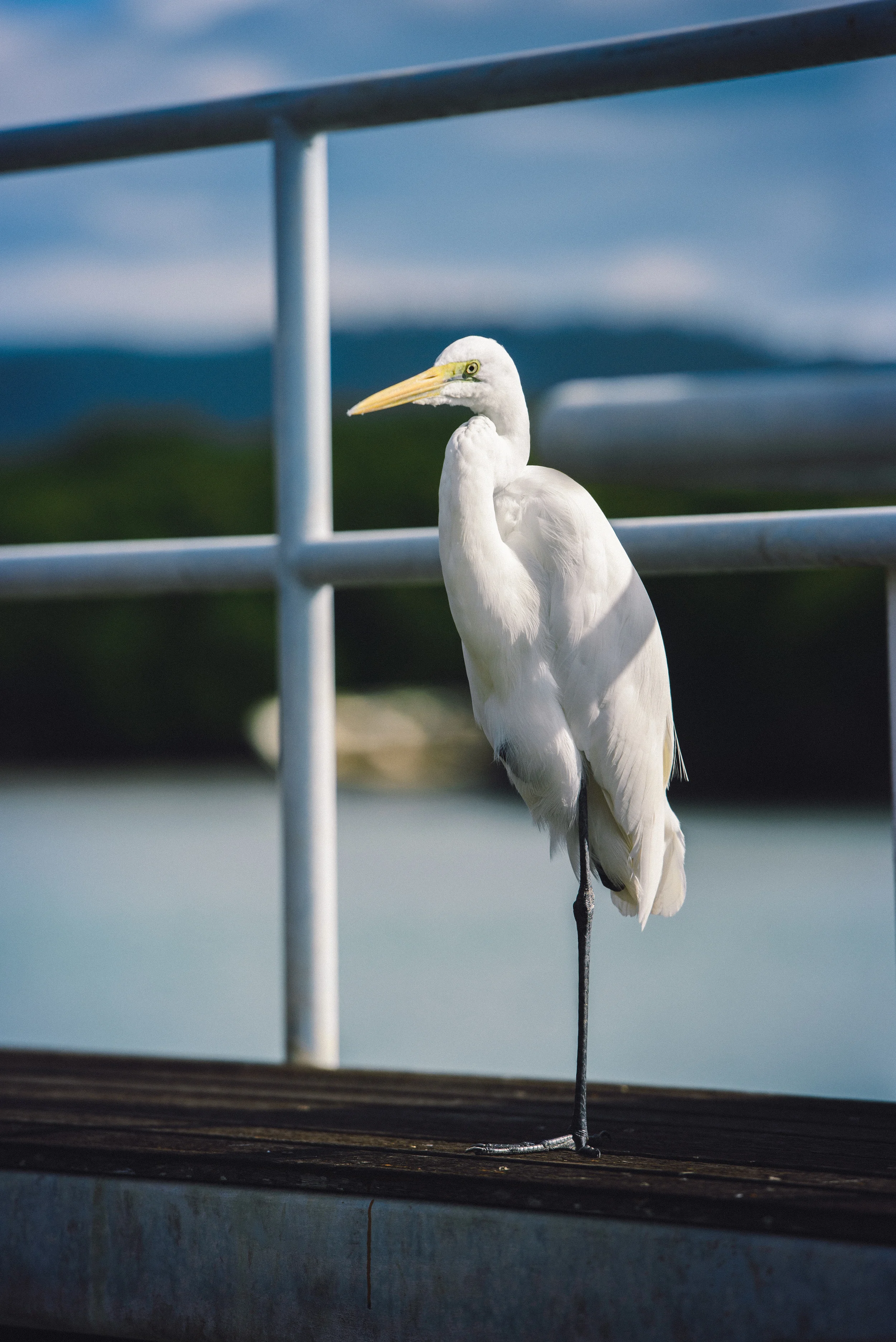 On the Inlet - July 2014-151.jpg