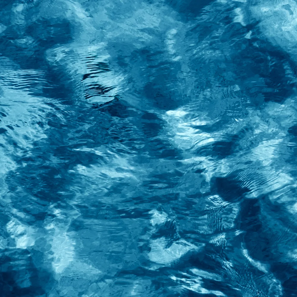 shutterstock_88737463 (1).jpg