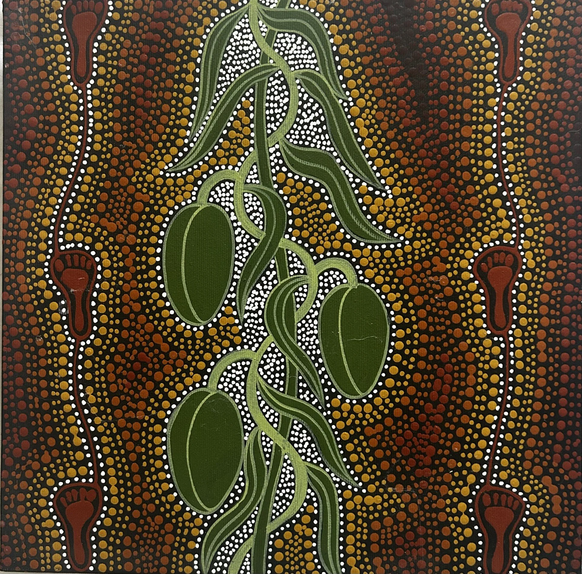 Preframed bush banana.jpg