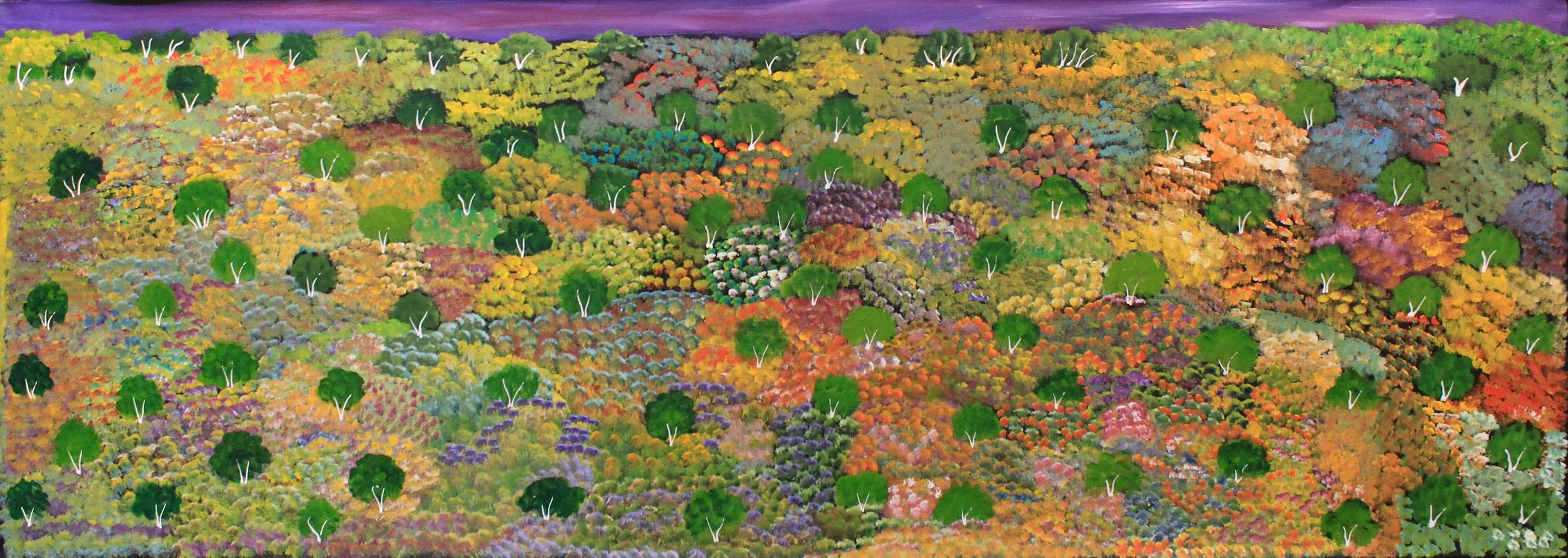 AS12223591 198 X 70 .JPG