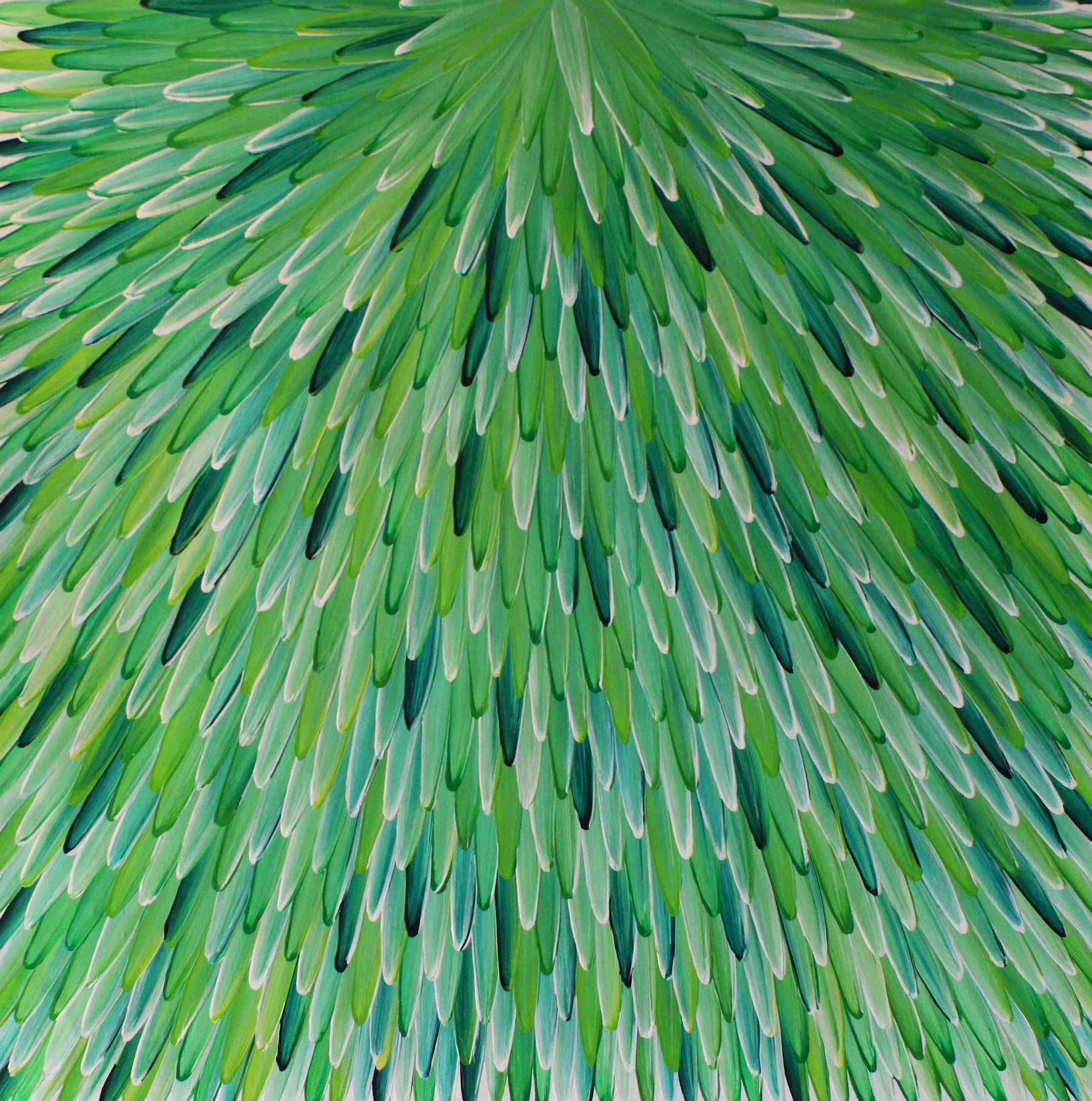 Emu Feathers
