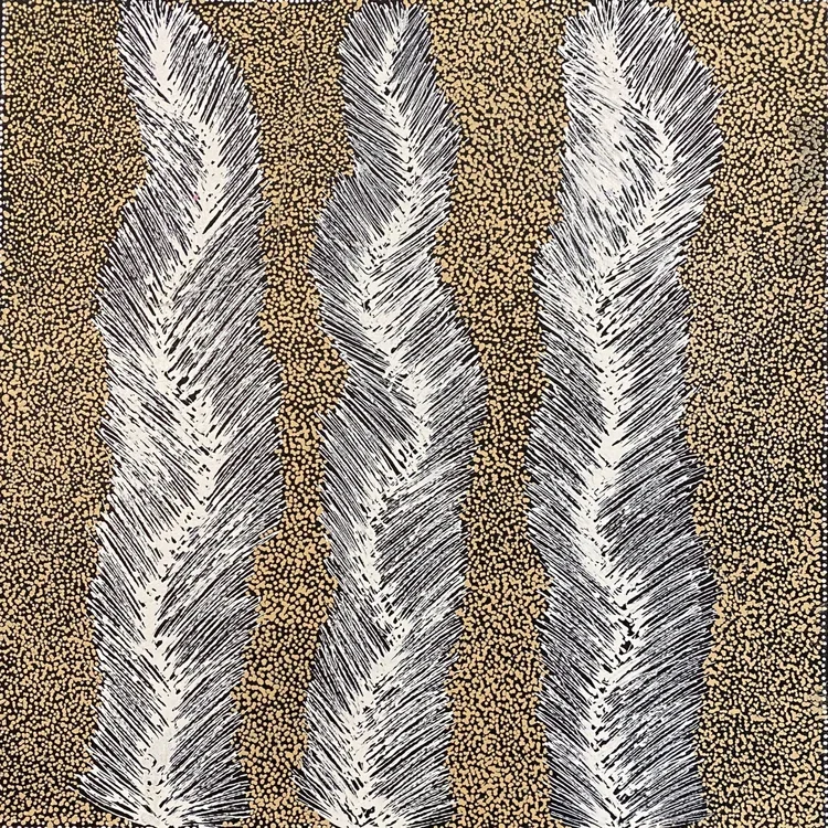 ‘Bush Banana Vines’