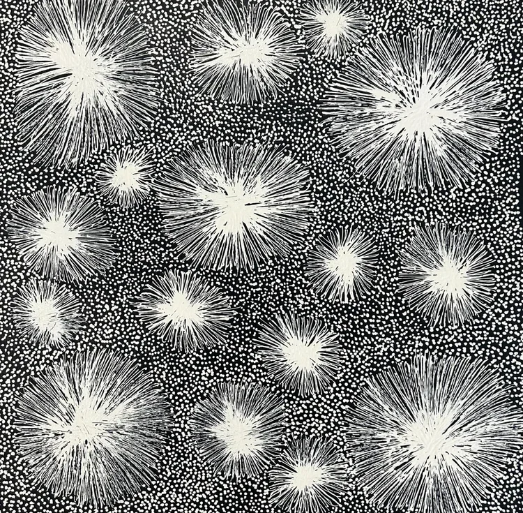 ‘Burnt spinifex’