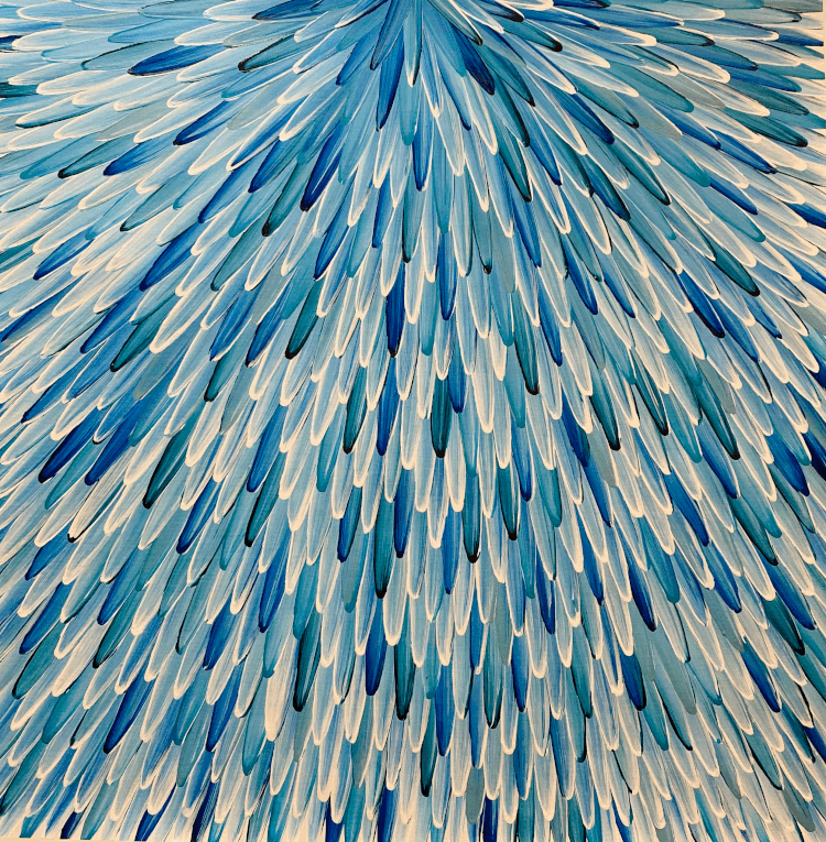 ‘Emu Feathers’