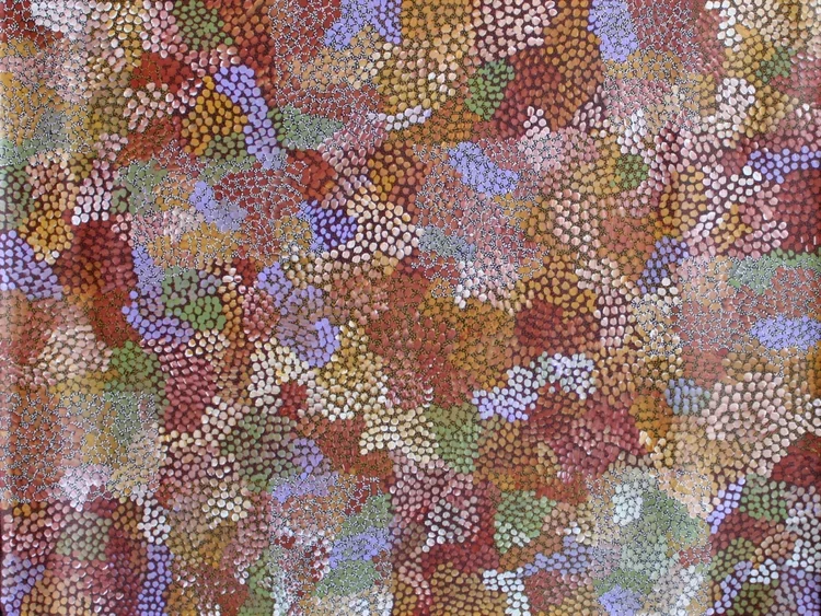 'Akatyerre - Bush Tomato'