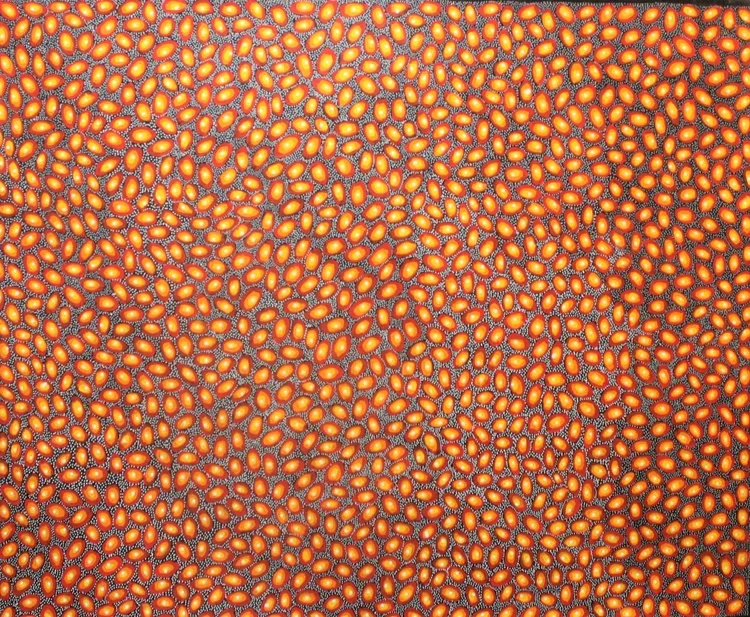 'Apenge Ngkweyange - Kurrajong Seed'