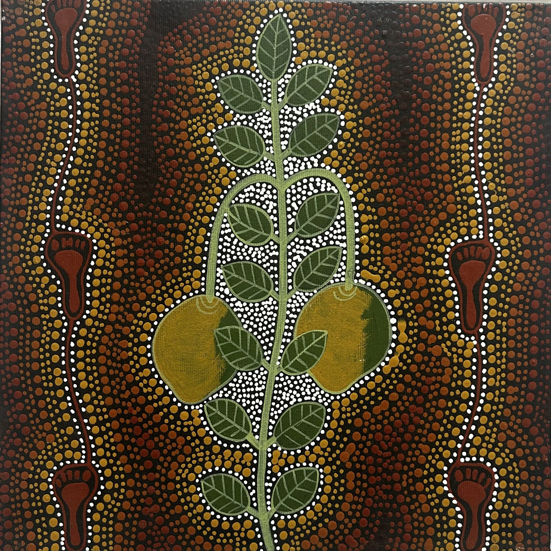 Marie Ryder 'Merne Atwakeye - Bush Orange'