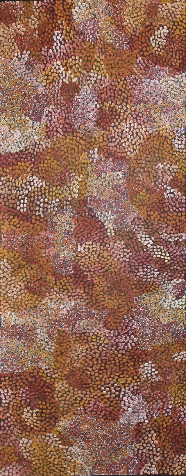 selina bush toms.jpeg