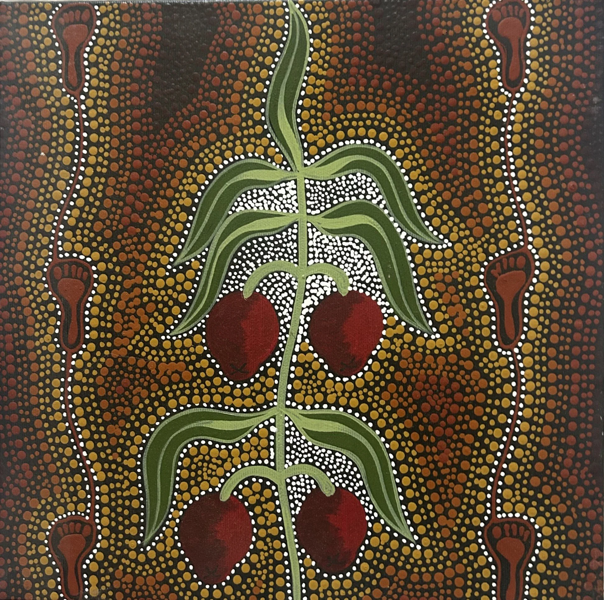 Preframed quondong MR7.jpg