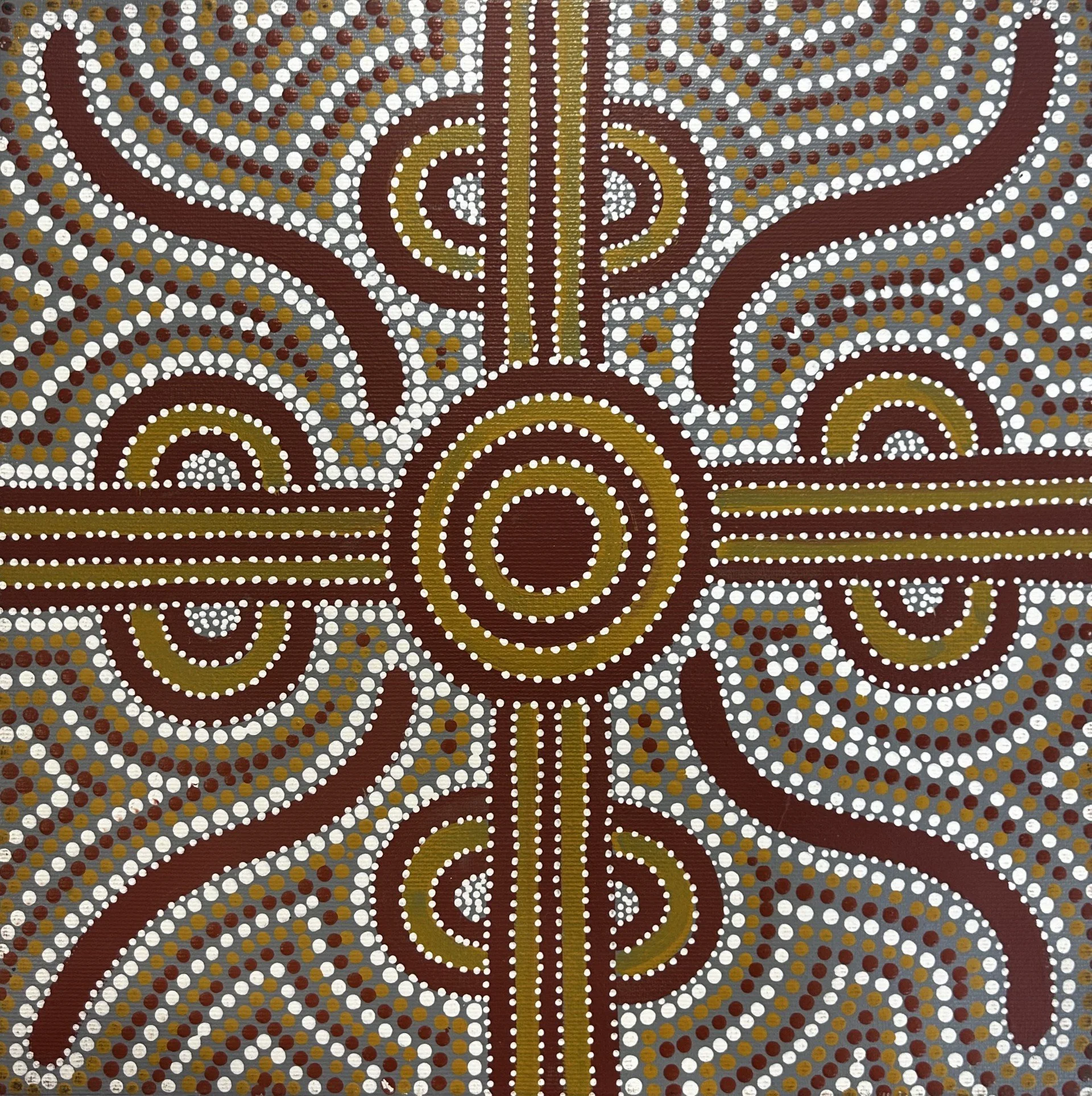 Mulga seeds prefreamed.jpg
