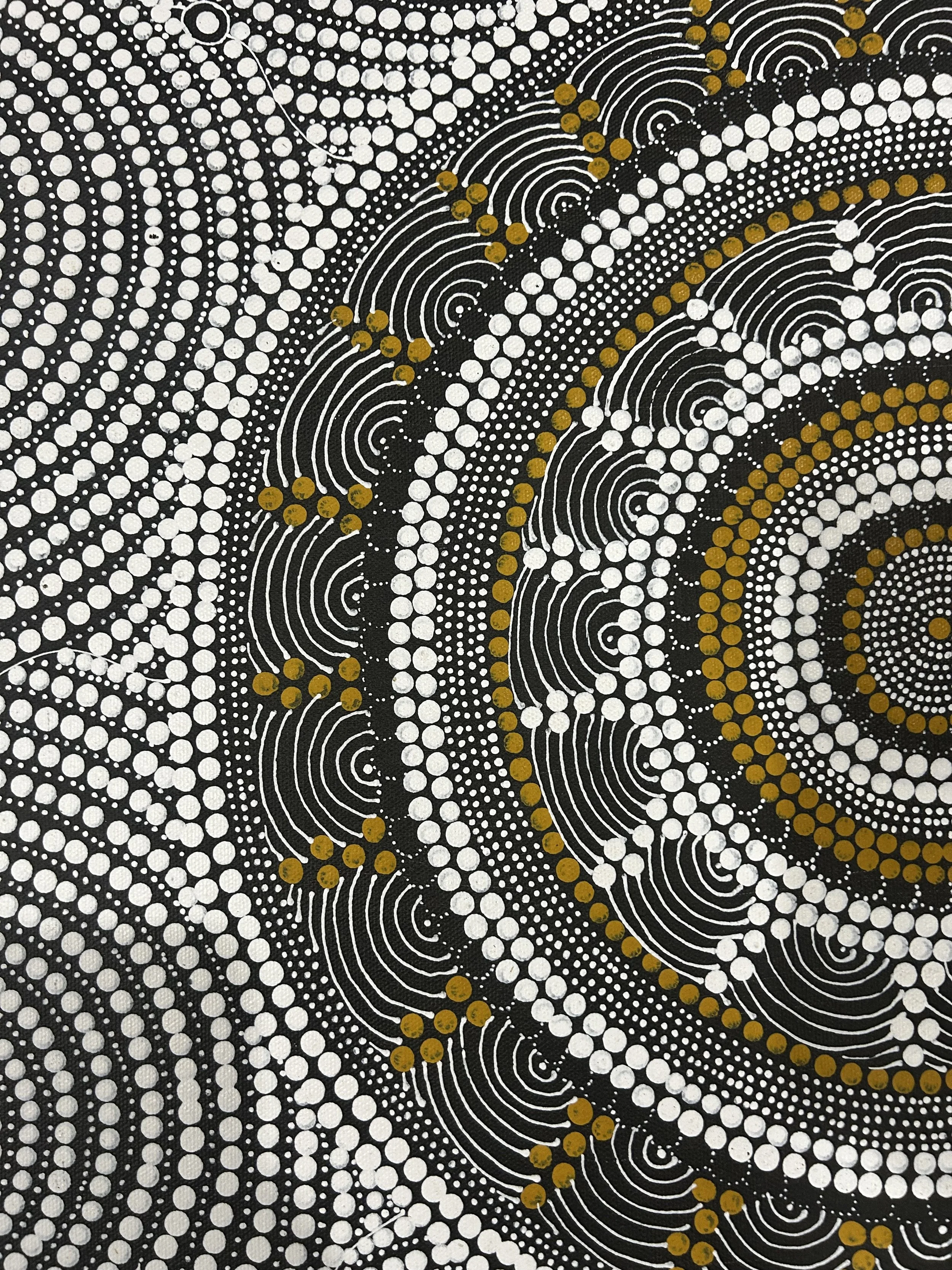 Janet N Long - Womens Dreaming JL421.1 close.jpeg