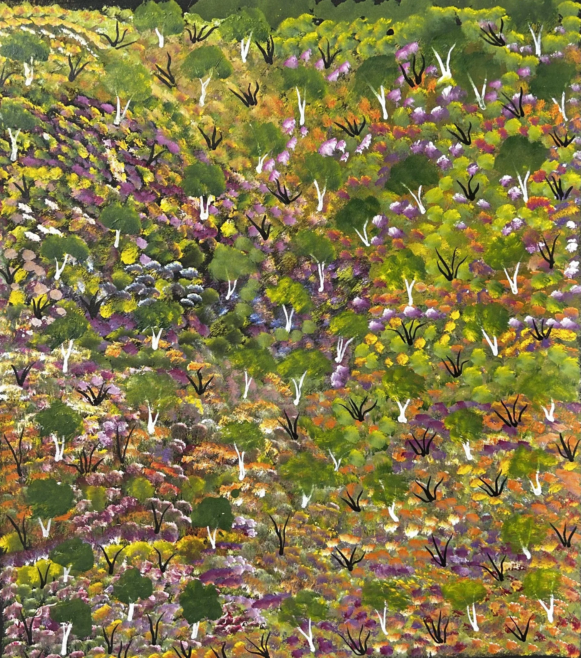 AS8244079 WEBSITE.jpg