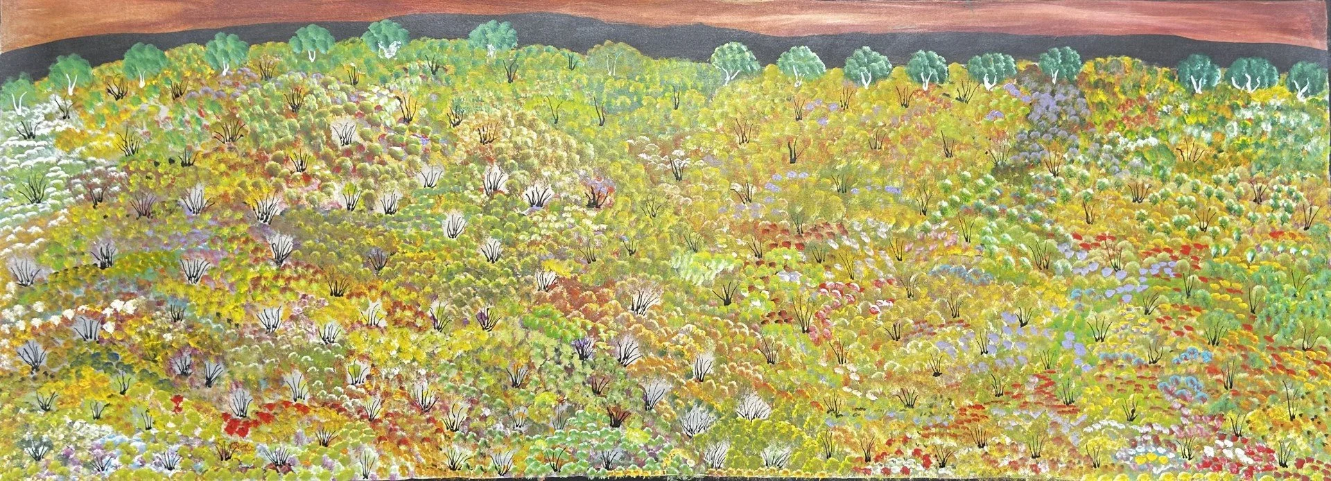 AS5233651 WEBSITE DEC.jpg