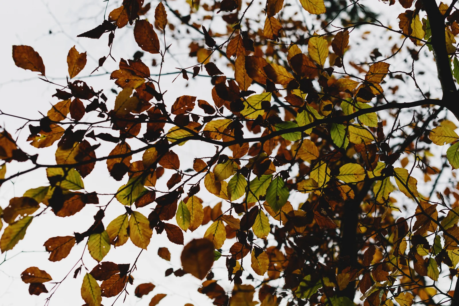 untitled-1-9.jpg
