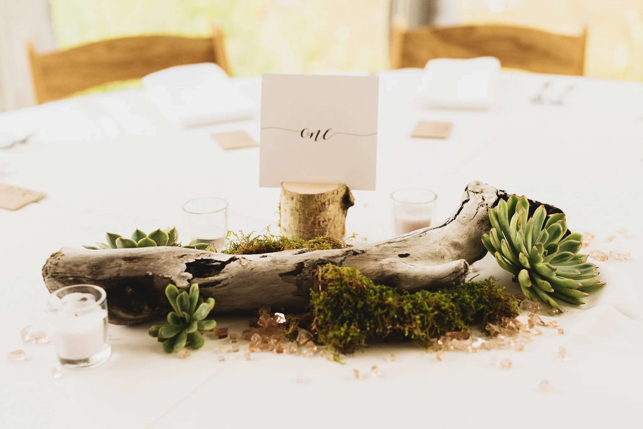 Tera+MattColoradoWedding-21.jpg