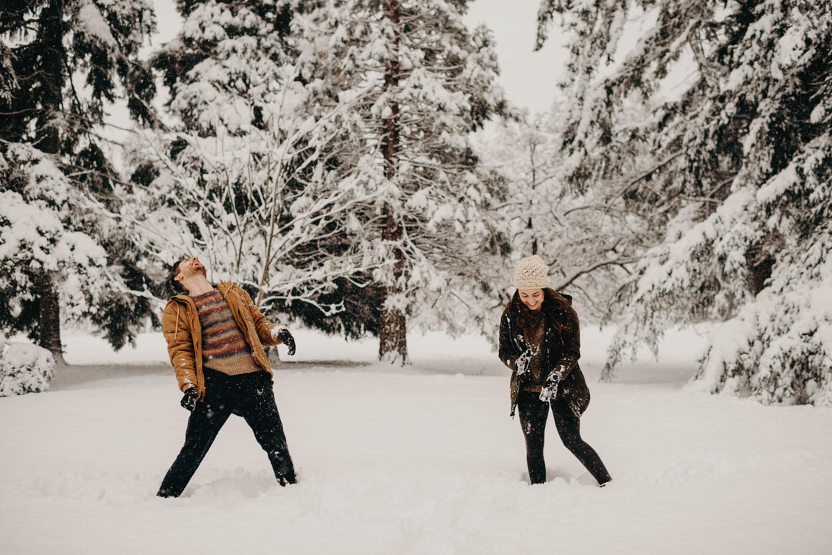 D+Dsnowsmall-7.jpg