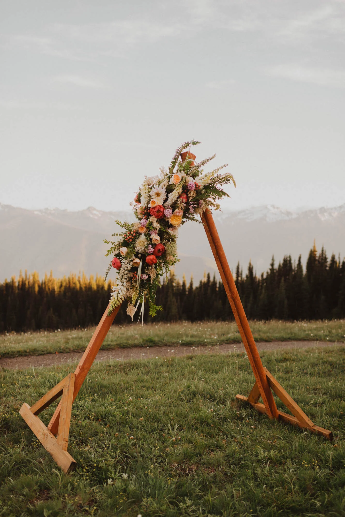 Hurricane Ridge Elopement, Peter+ Rachel -345.jpg