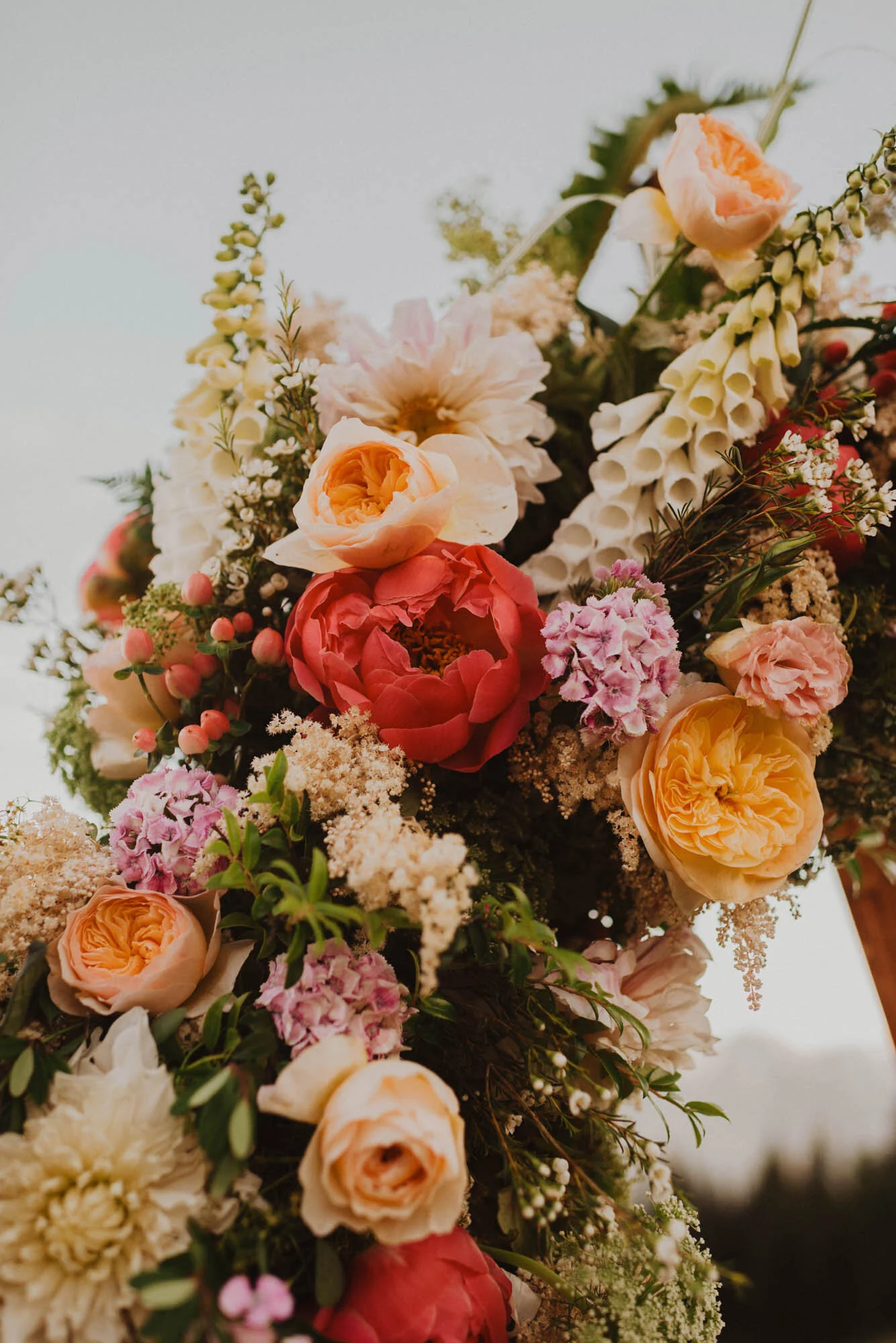 Hurricane Ridge Elopement, Peter+ Rachel -357.jpg