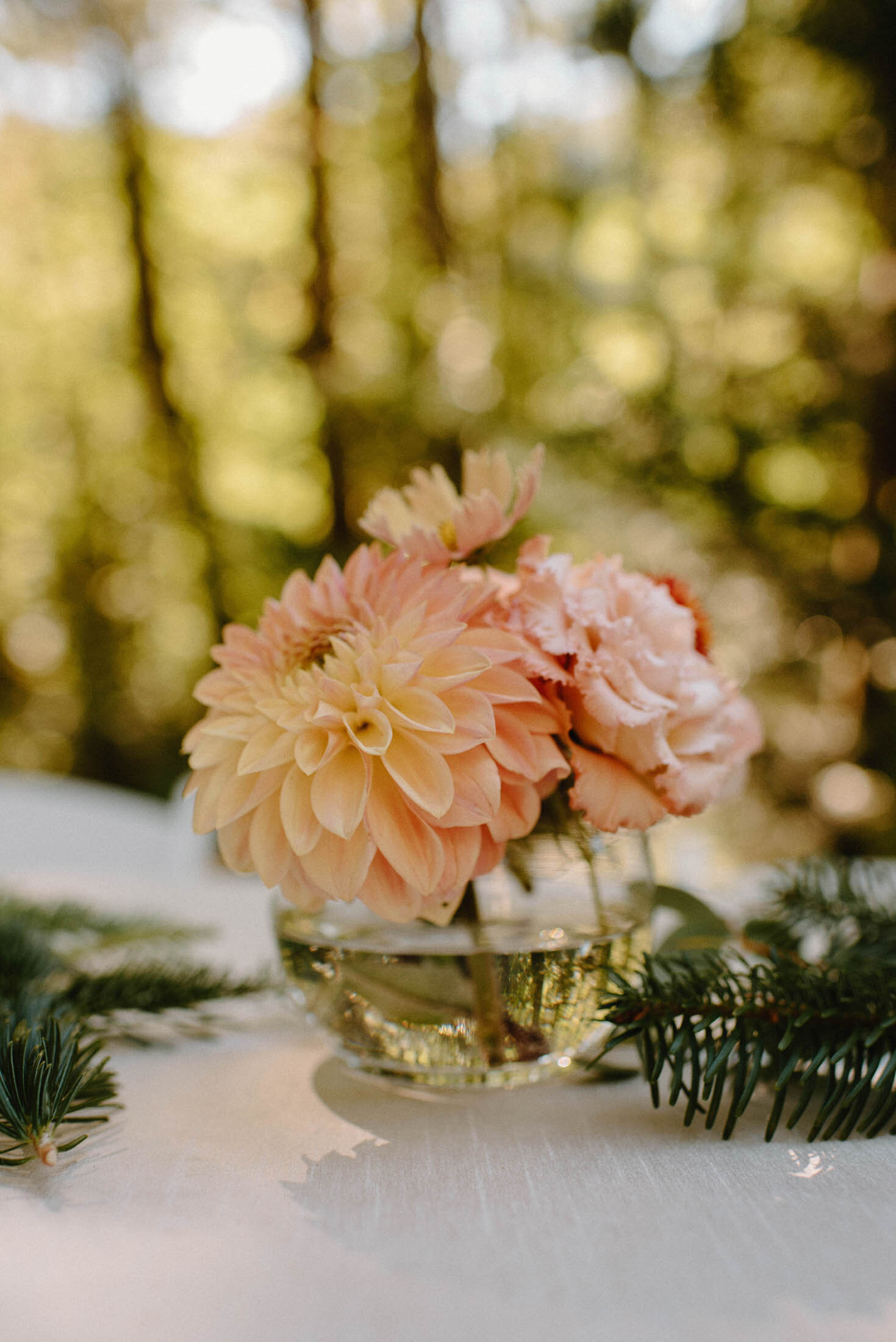 Mt Baker elopement Kylie and Tim -4.jpg