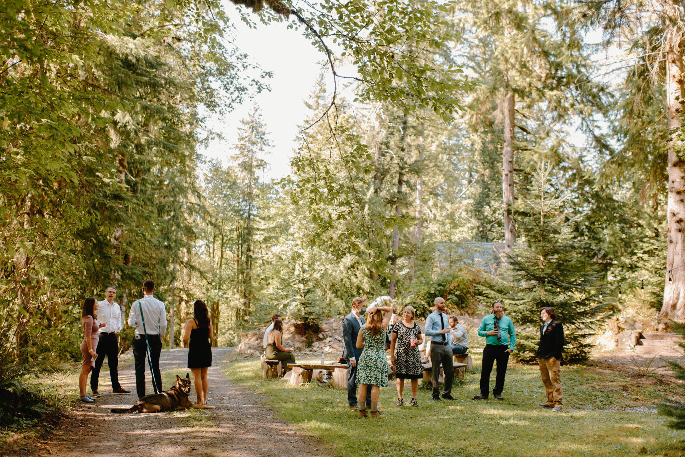 Mt Baker elopement Kylie and Tim -79.jpg