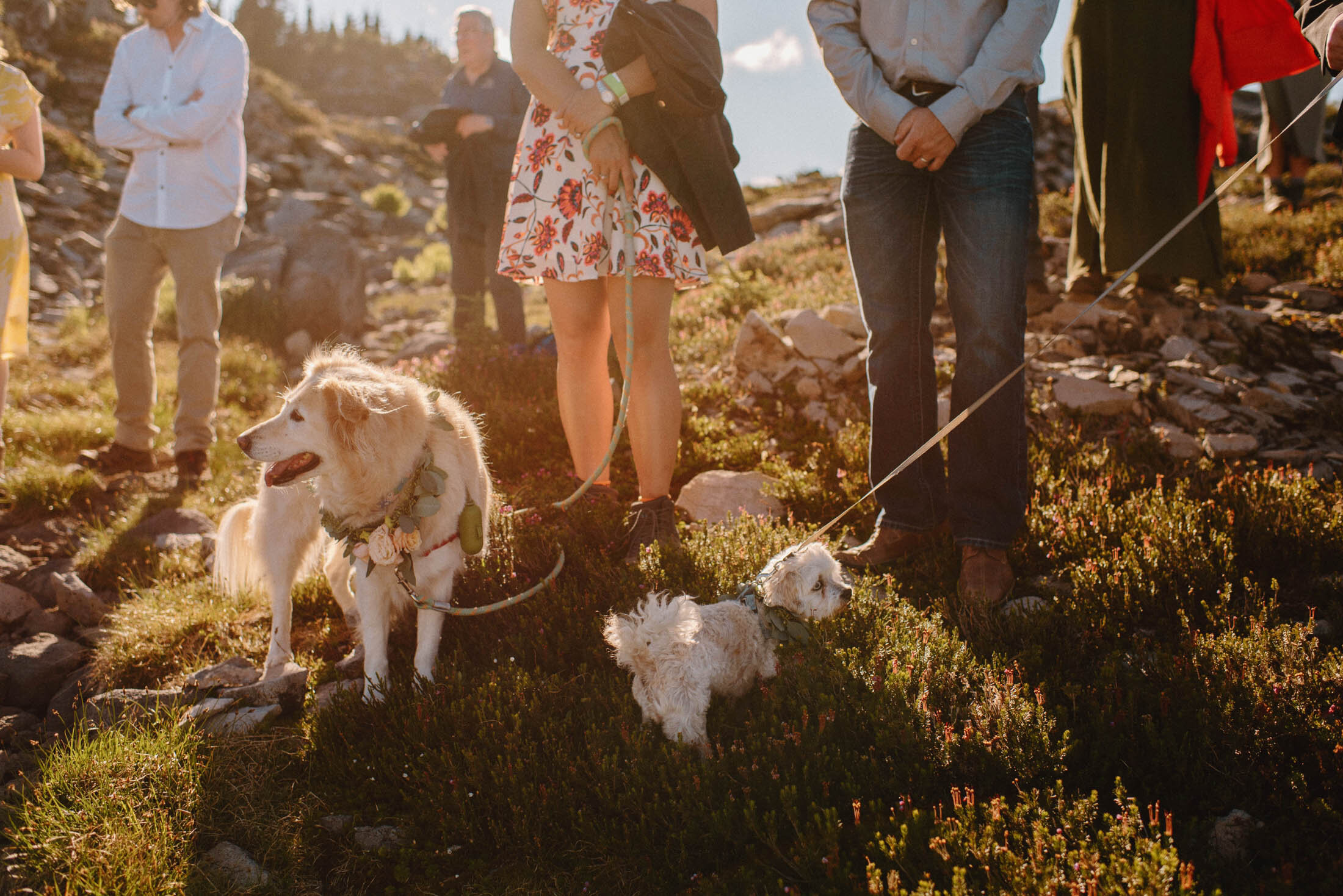 Mt Baker elopement Kylie and Tim -139.jpg