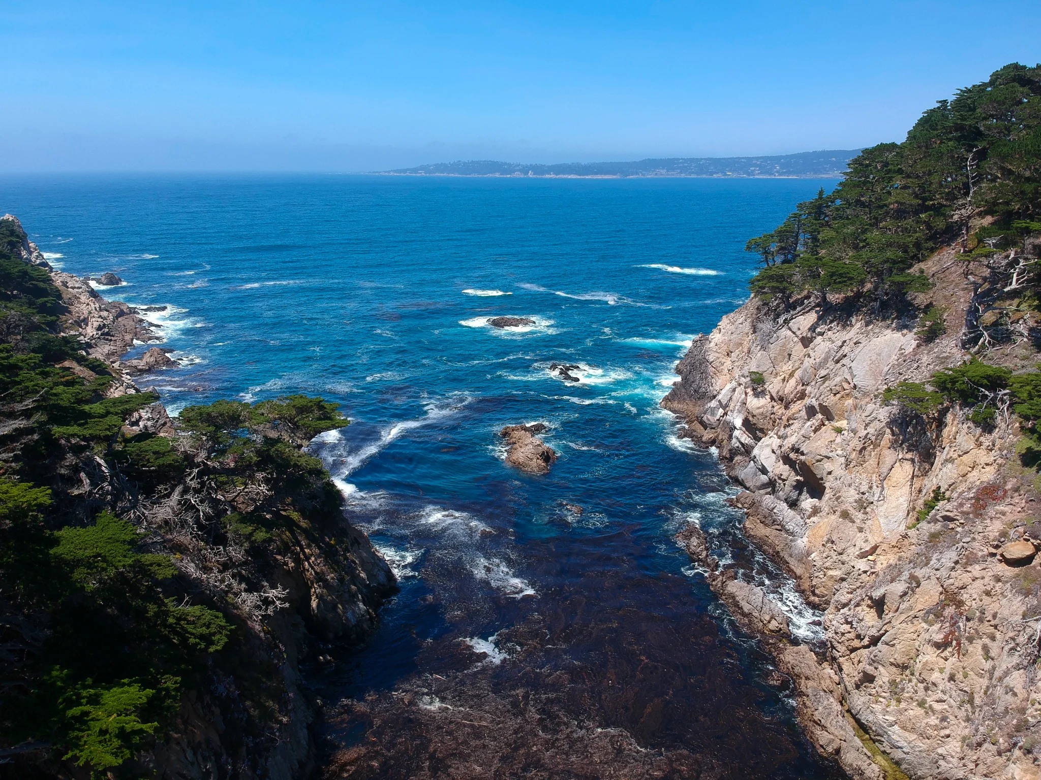 DJI_0110.jpg