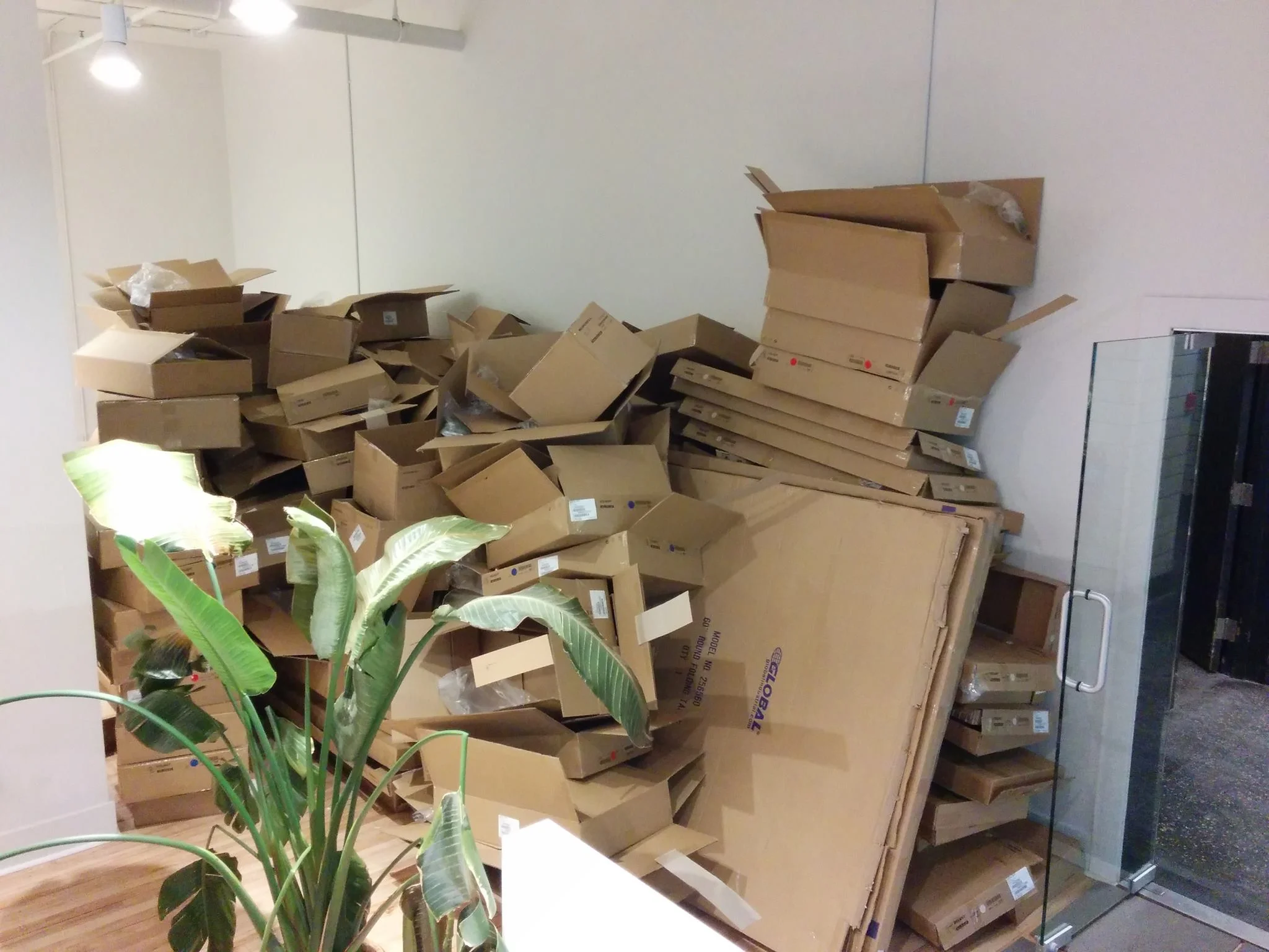 The Cardboard of Cardboard Utopia.jpg