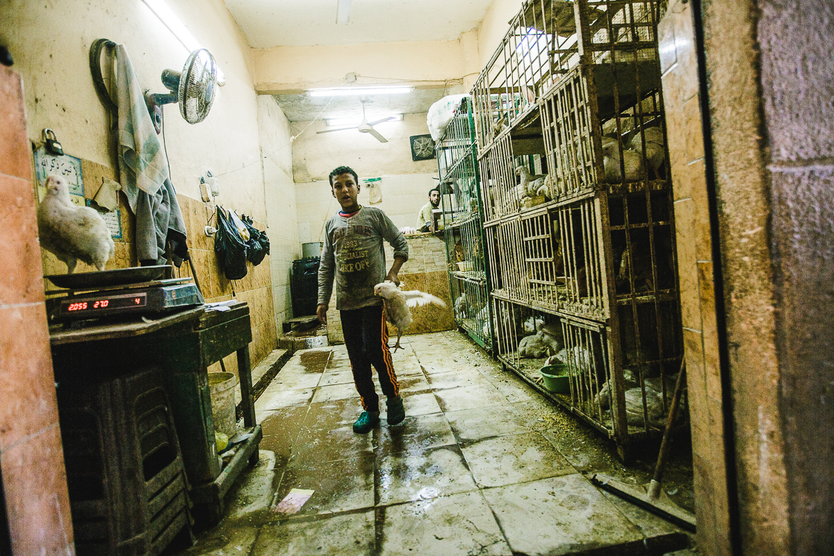 Egypt_0027.jpg