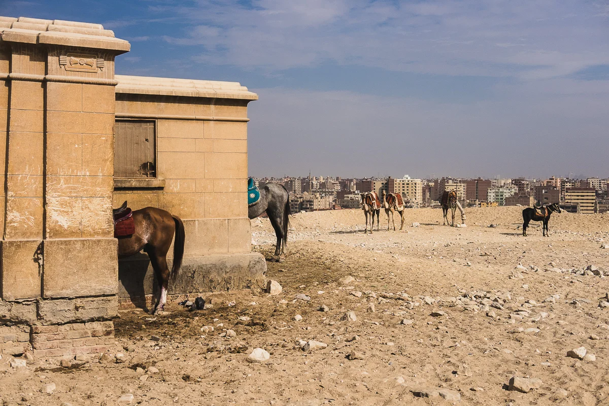 Egypt_0032.jpg