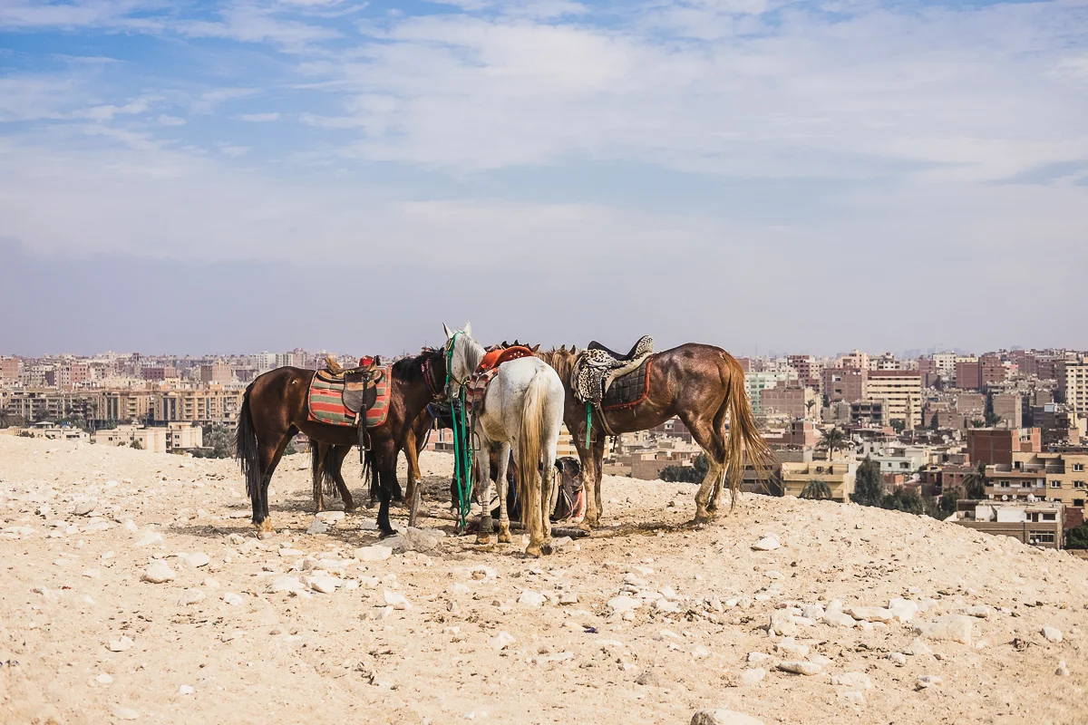 Egypt_0035.jpg