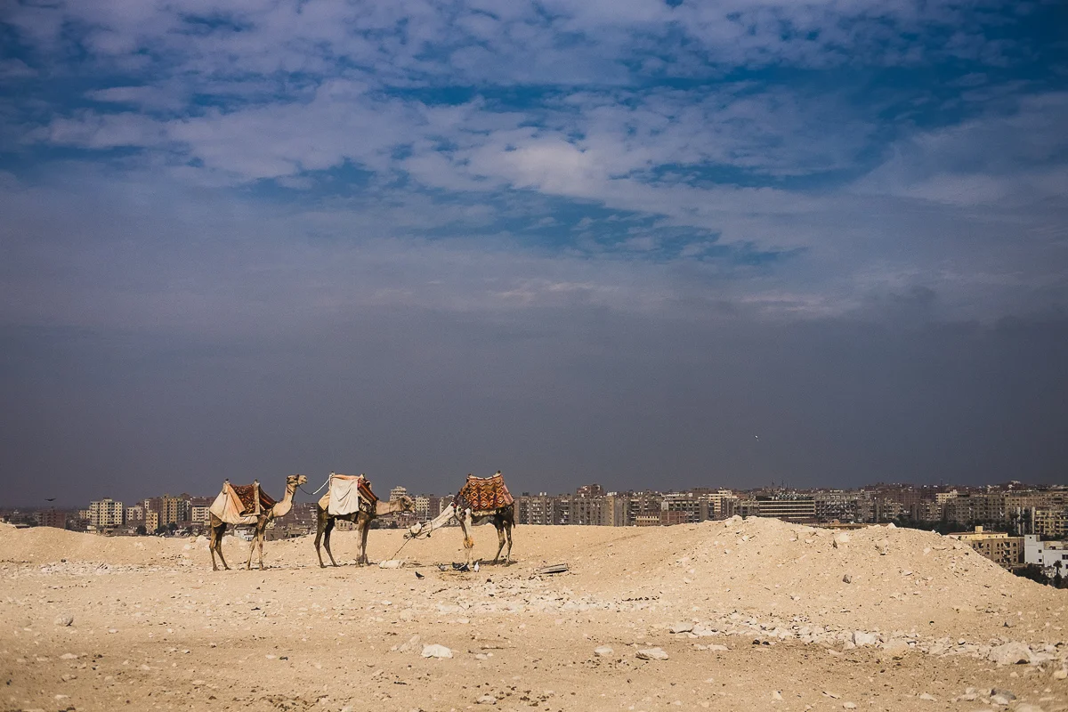 Egypt_0036.jpg