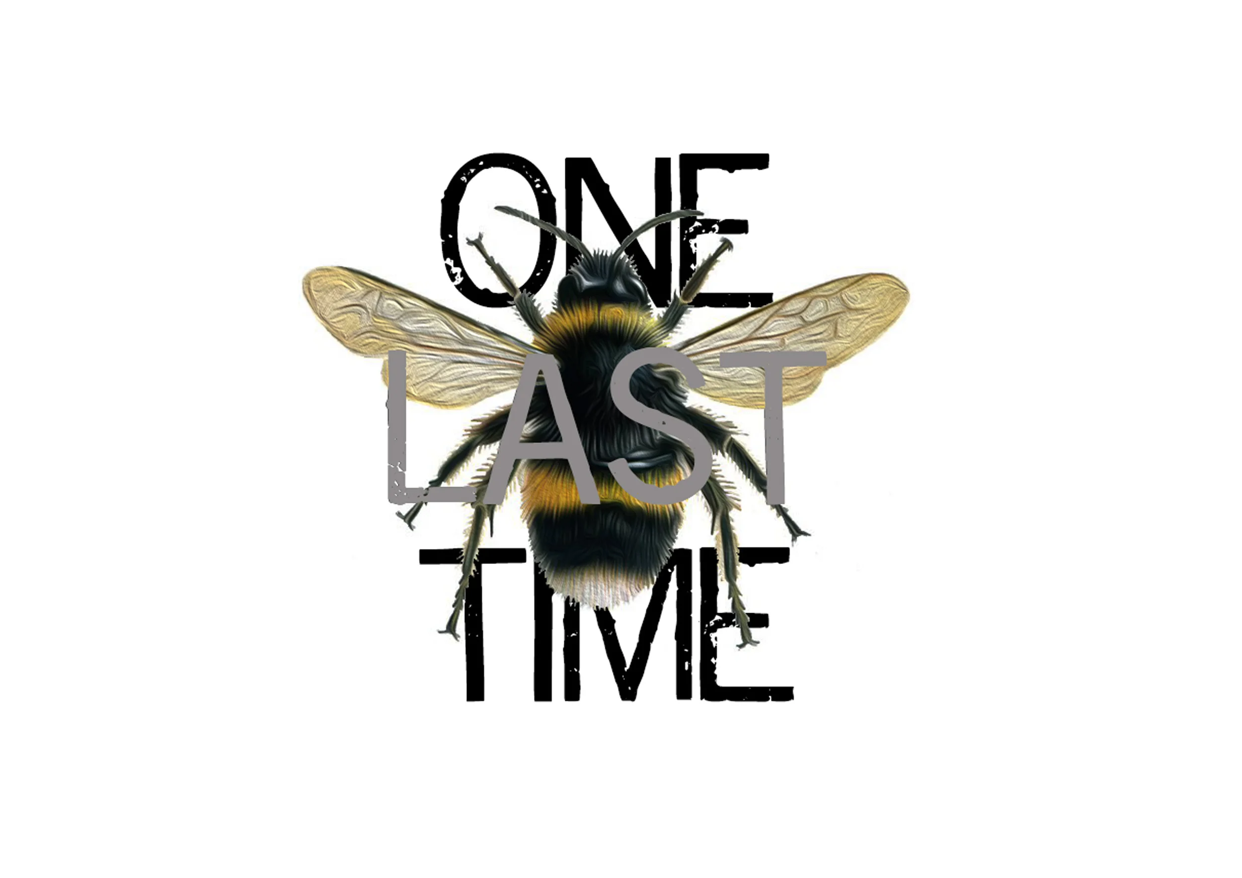 One Last Time booklet pp1.jpg