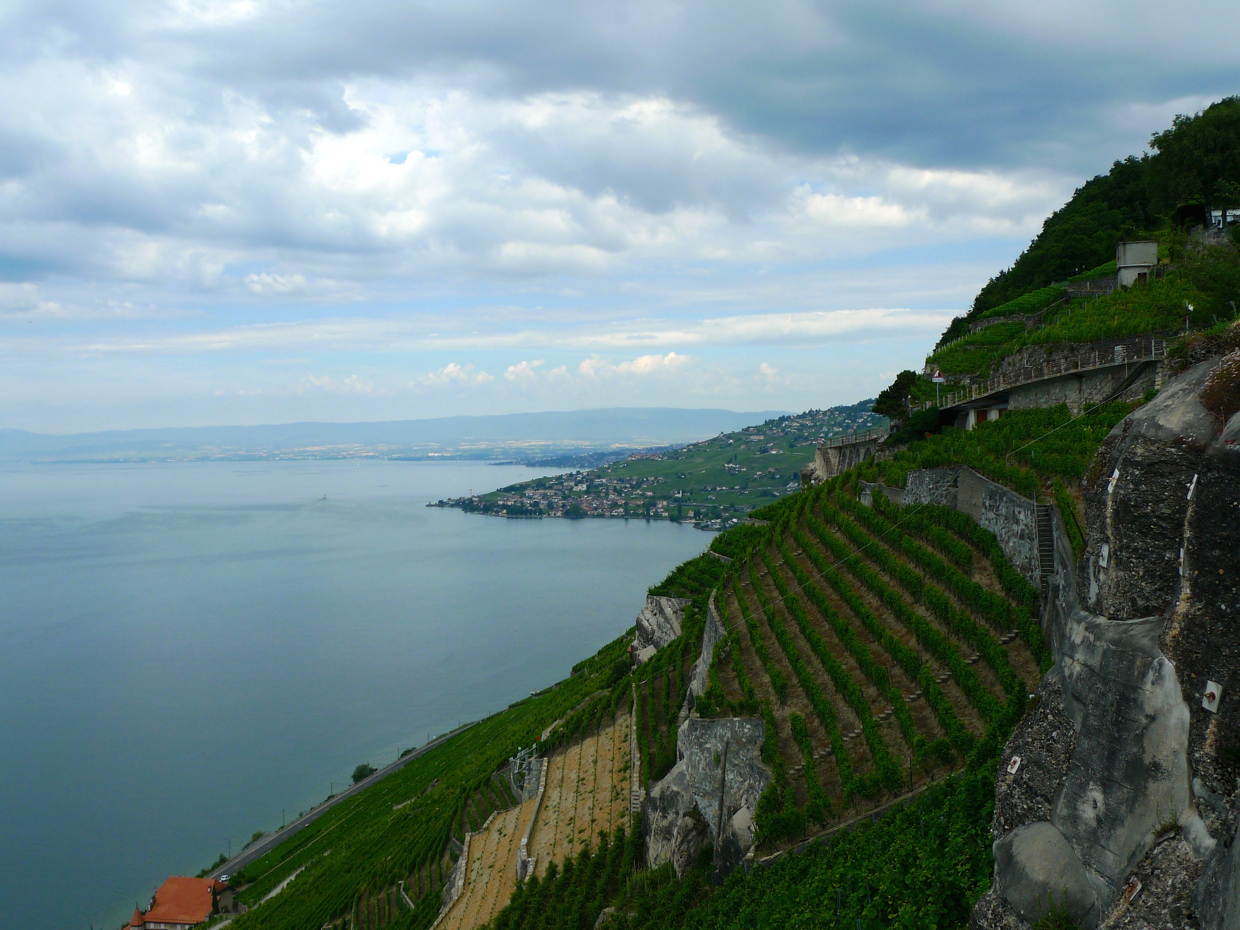  Terraced vineyards 