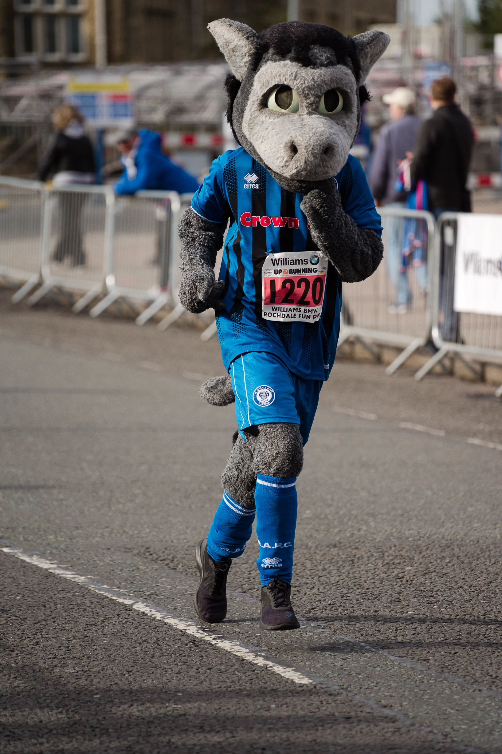 DSC08890.jpg
