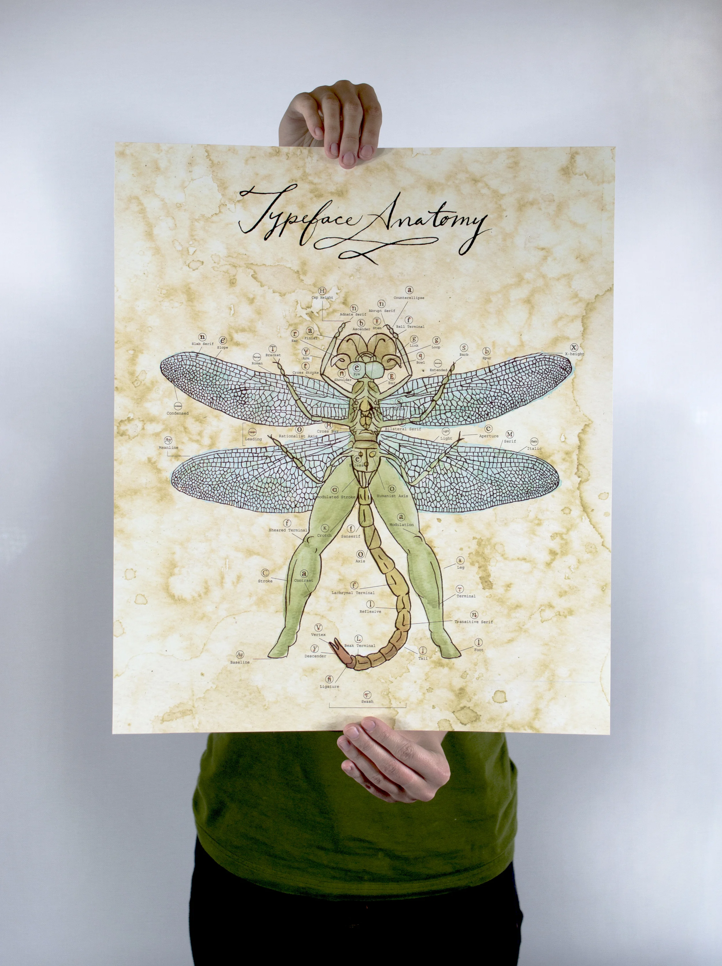 typeanatomy4.jpg