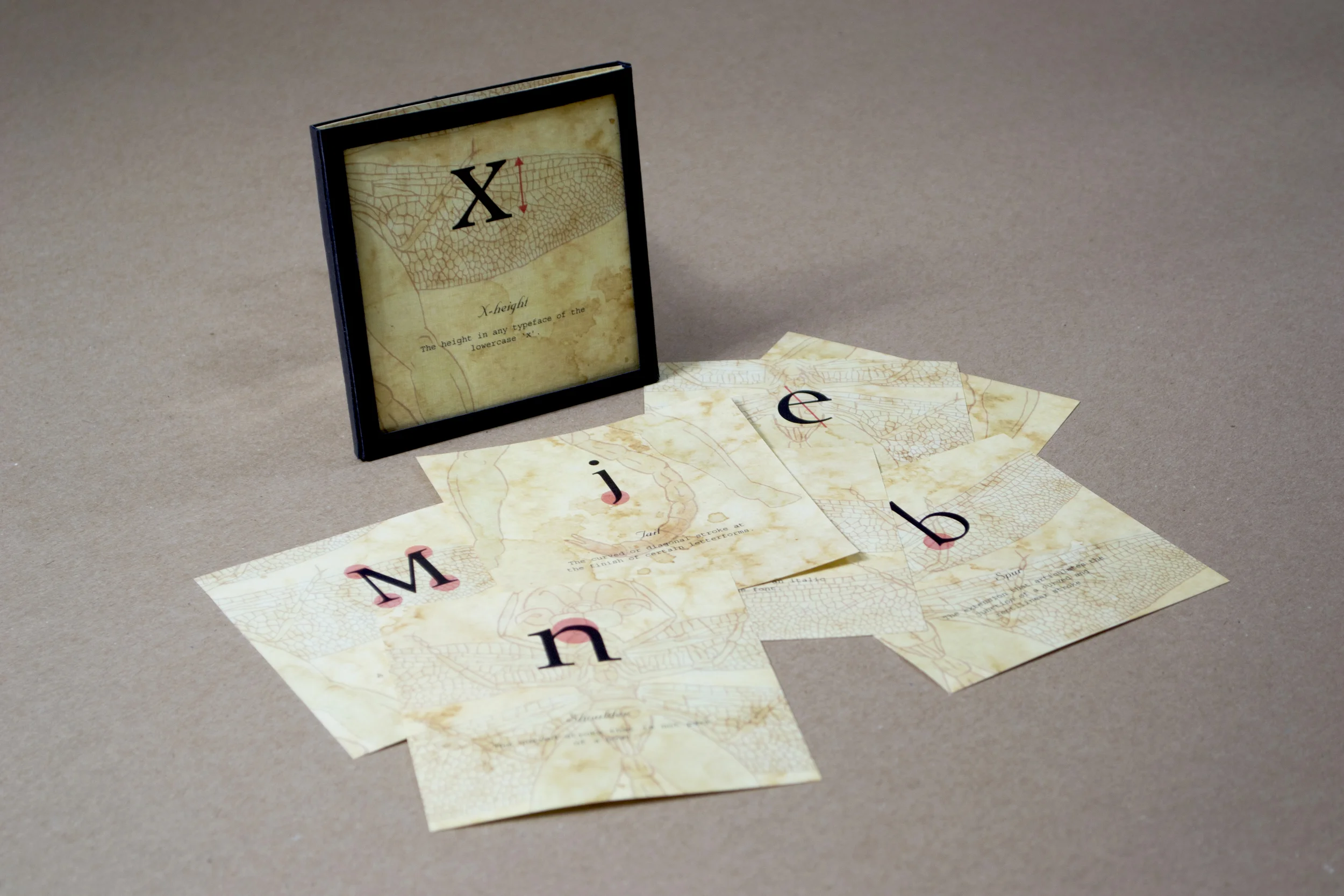 typeanatomy3.jpg
