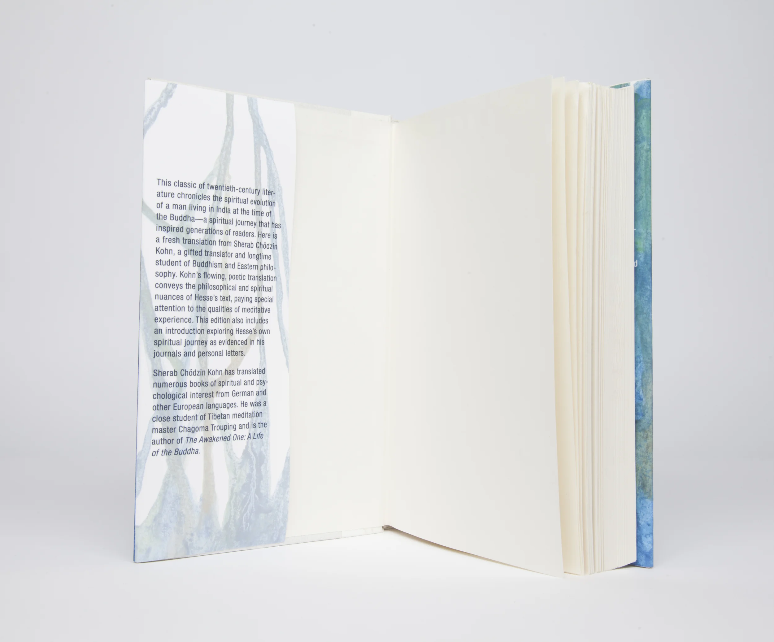 Book Dust Jacket-025.jpg