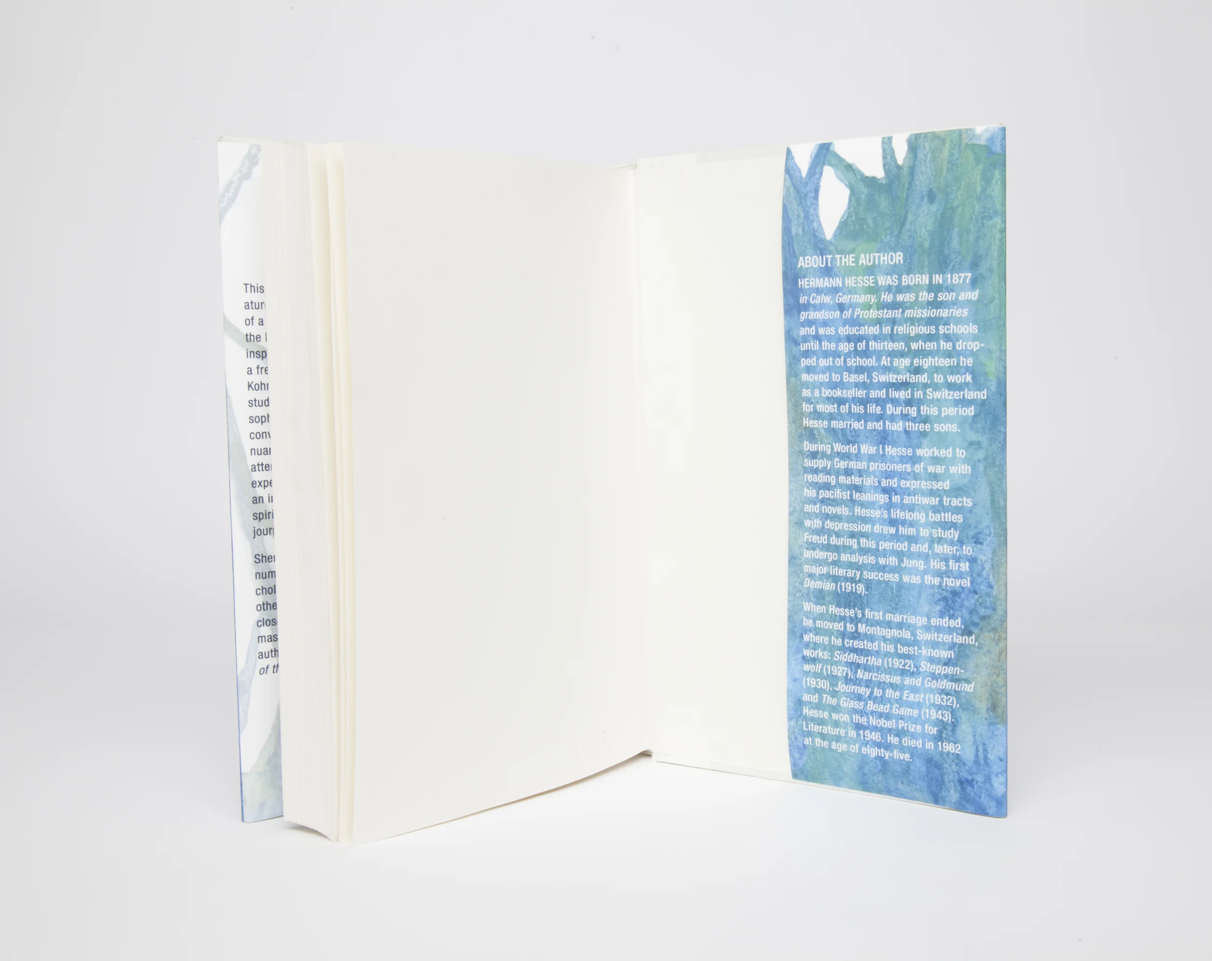 Book Dust Jacket-033.jpg