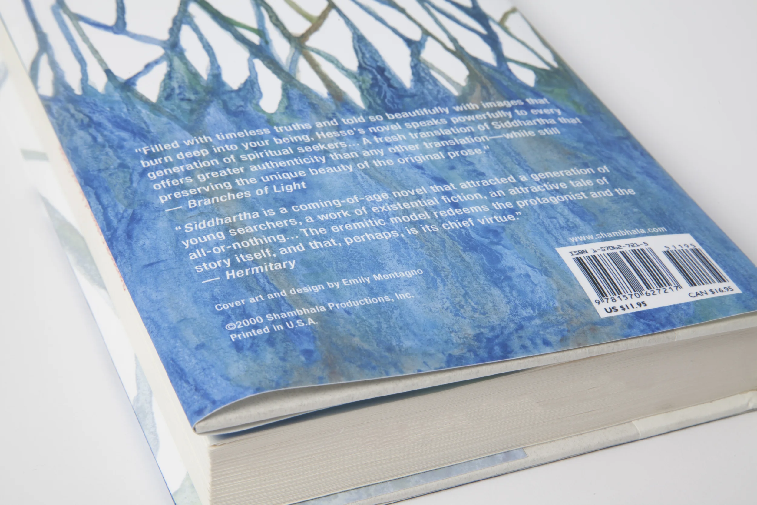 Book Dust Jacket-035.jpg
