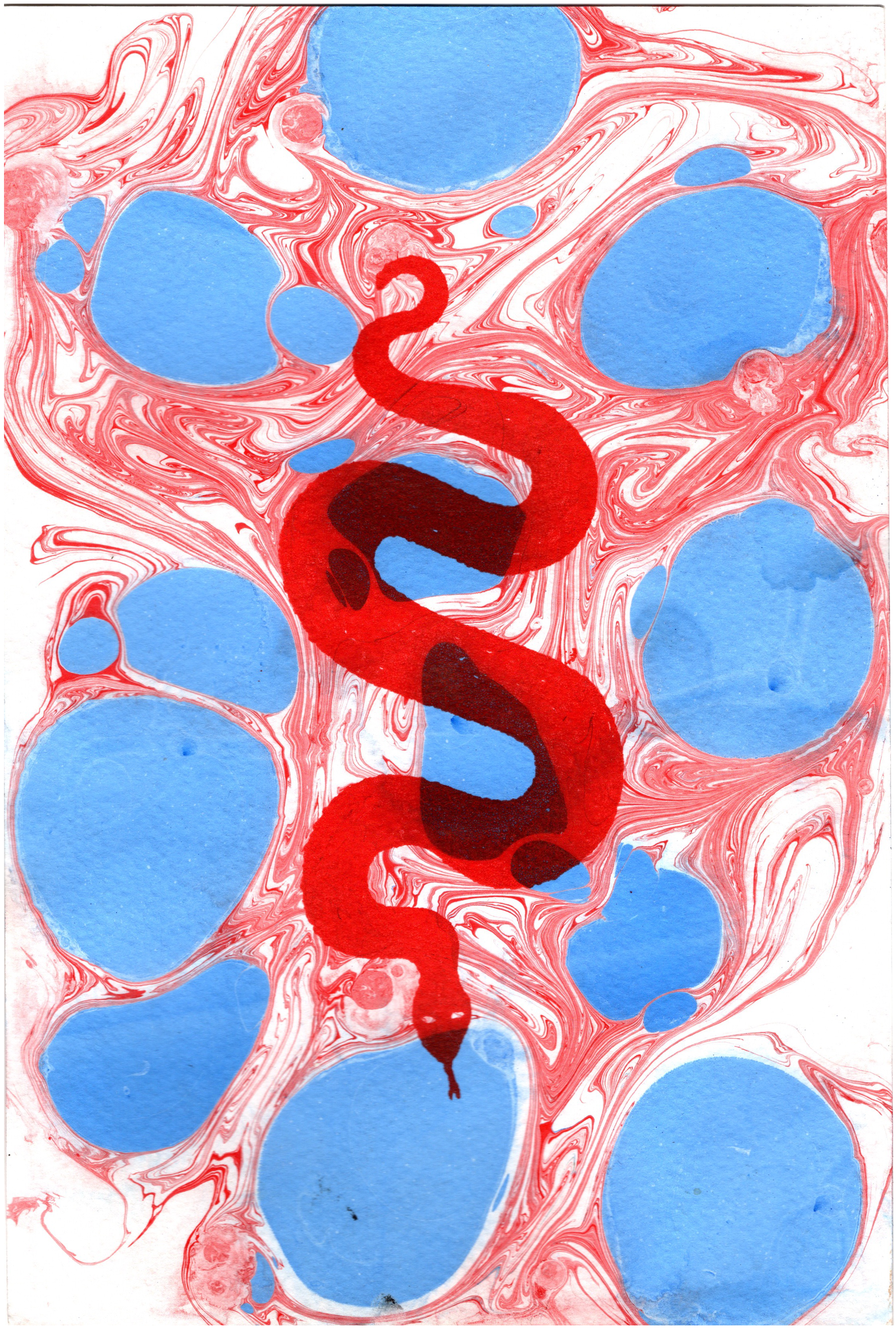 red snake on red and blue marble.png