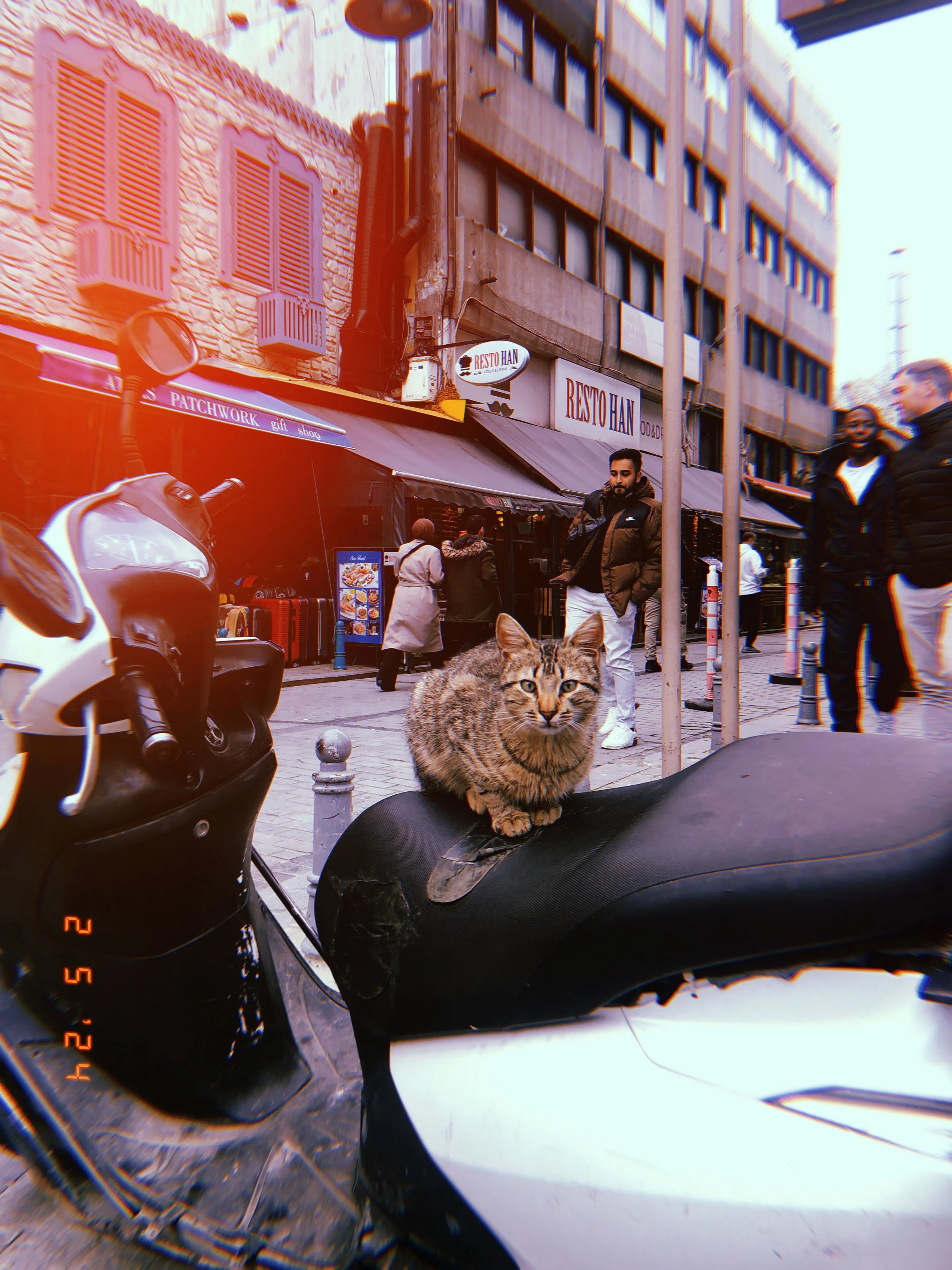 2024-02-05 17_10_10.jpeg