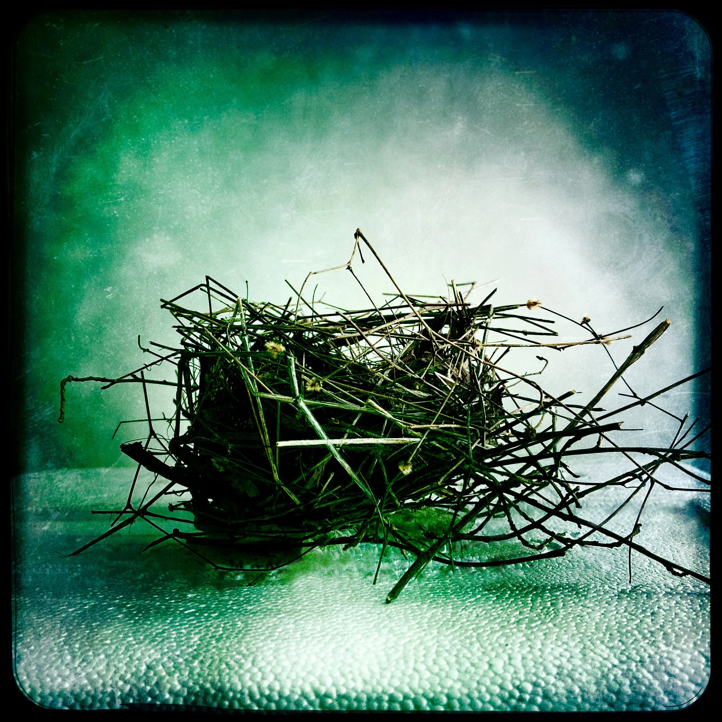HipstamaticPhoto-799763693.363512.jpeg