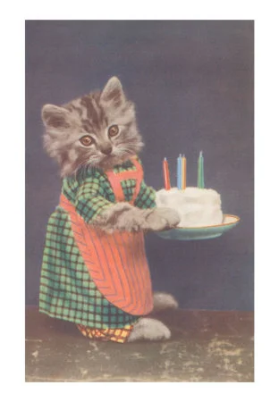 KittenCake.jpg