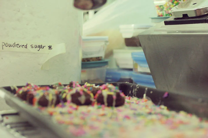sprinkledDonut.jpg